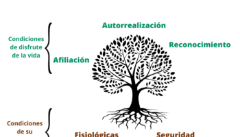 Arbol de preocupaciones